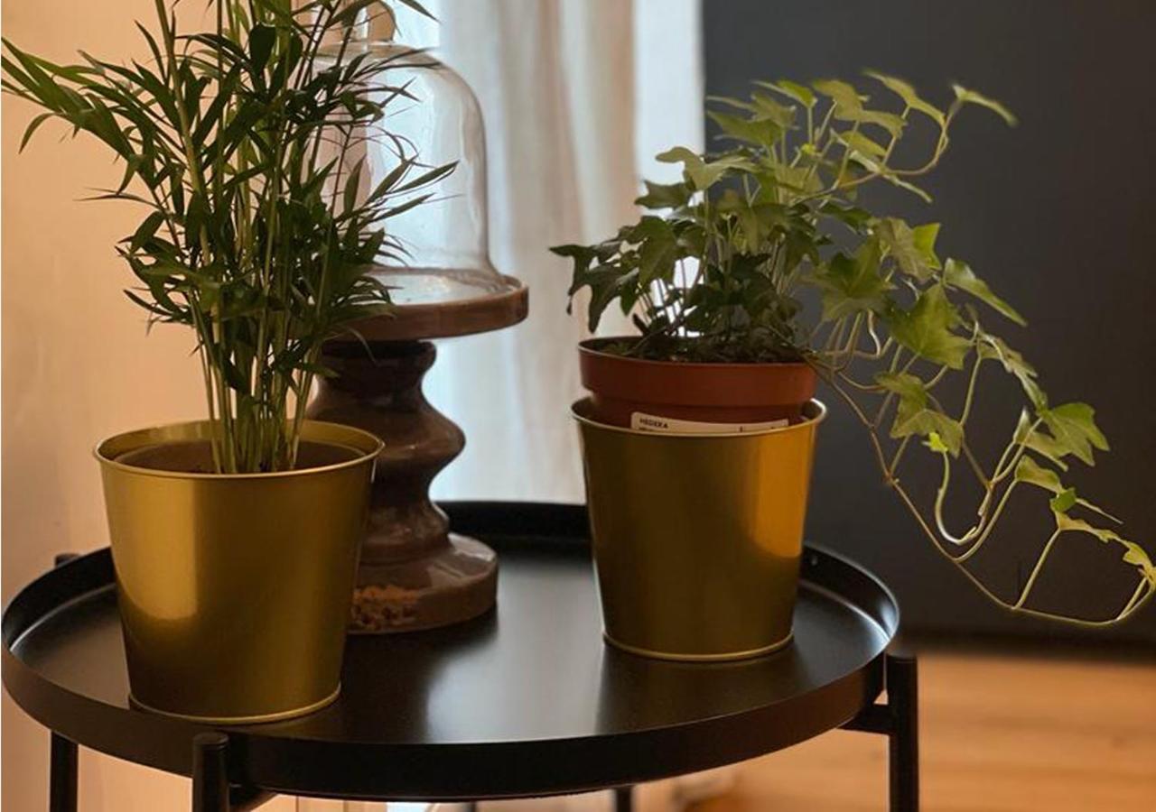 Tecnopolo Fiera Apartamento